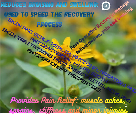 Christmas Medicinal Set